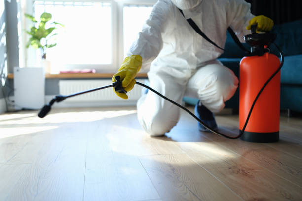 Reliable Blood Cleanup contractor in Lake Isabella, CA by Dulley Family Biohazard Services